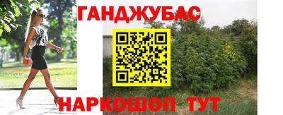 винт Тара
