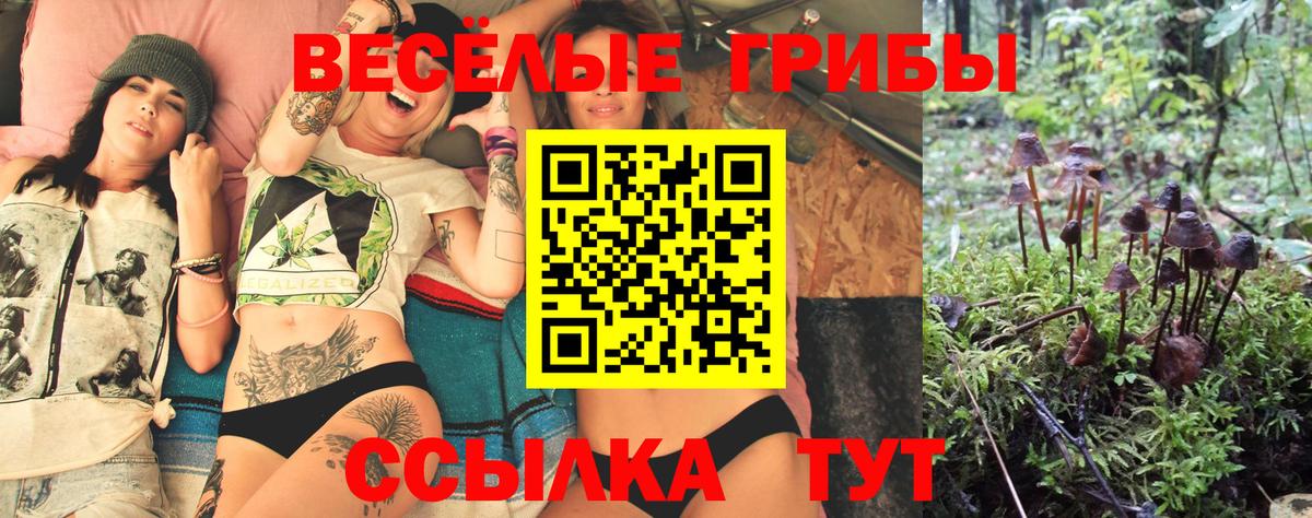 Псилоцибиновые грибы Magic Shrooms  Вход с VPN  Орехово-Зуево 